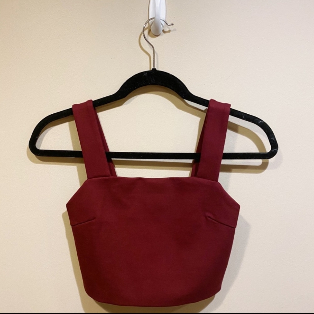 Urban Outfitters Silence + Noise Red Wine Crop Top